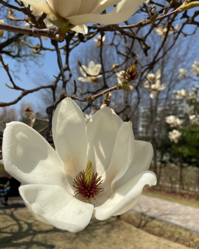 기억에 남는 장면들 (용인 동백 자연 한의원)