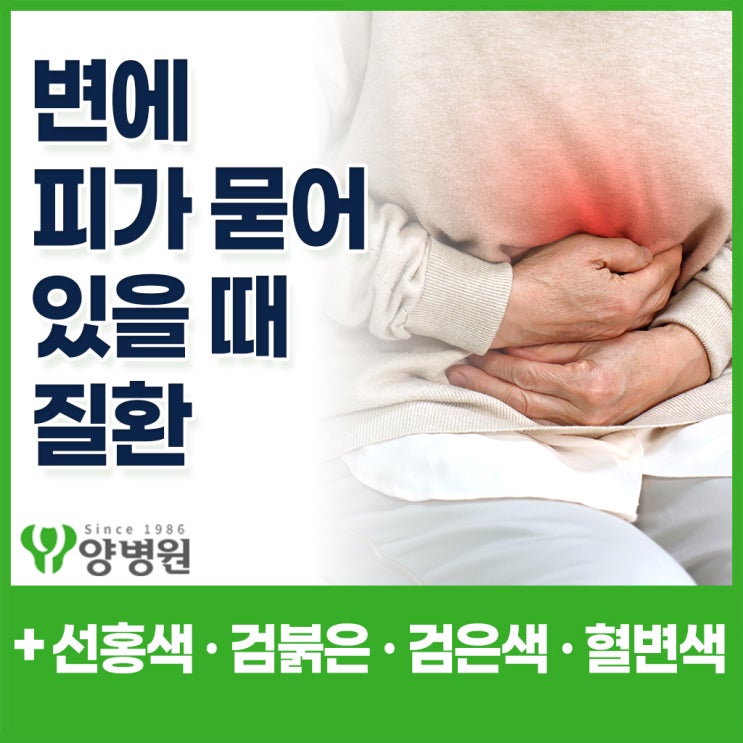  혈변 색깔로 보는 원인, 변에 피가 묻을 때 의심해야 할 질환 총정리