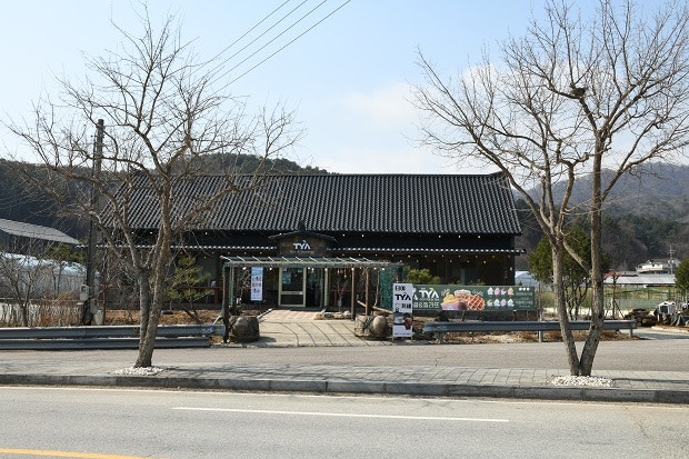 티야 사진 3