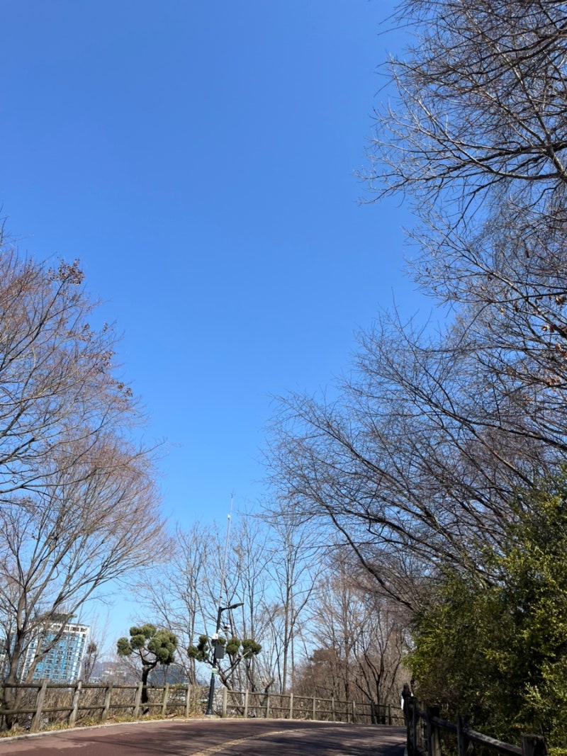 사진 7