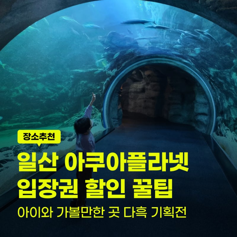 아이와 일산 아쿠아플라넷 입장권 가격 할인 팁 다흑 곤충 파충류 기획전 모르고 가면 손해....