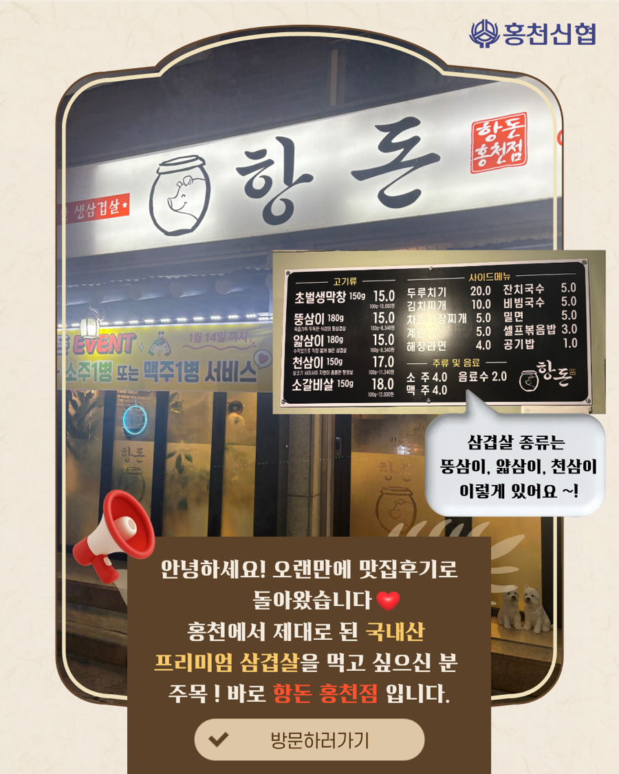 항돈 사진 2