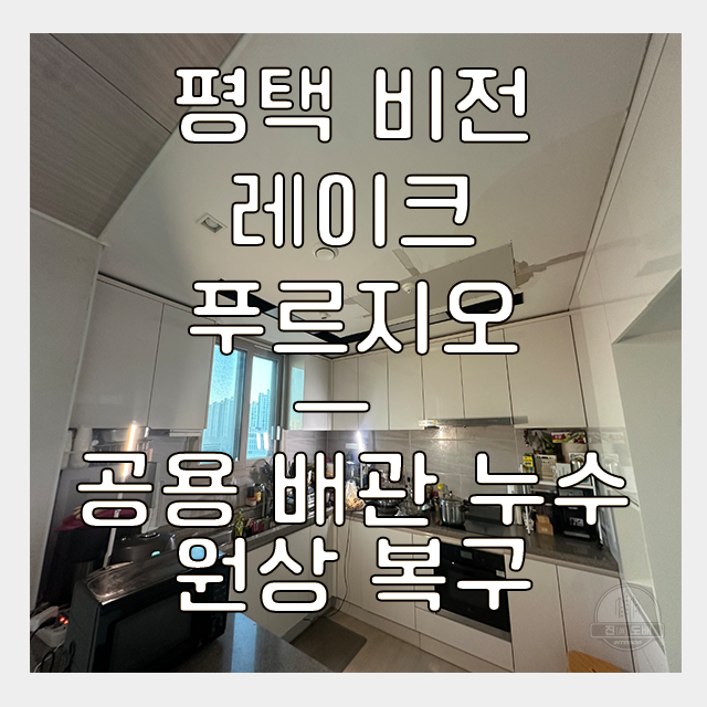  평택도배 비전 레이크푸르지오 32평 공용배관 누수 물난리 원상복구 시공 후기
