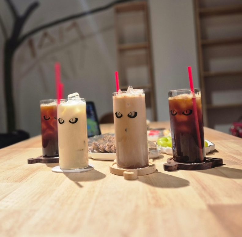 카페라피스 사진 2