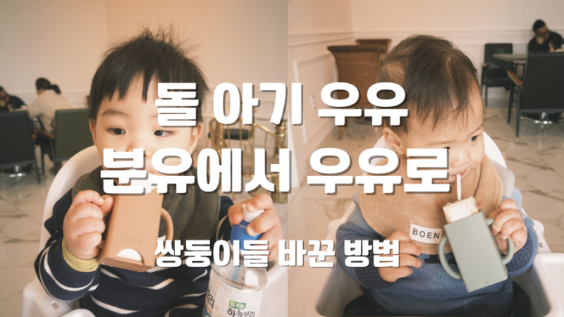 돌 아기 분유에서 우유로 갈아타는 법 | 살균 우우 VS 멸균 우유