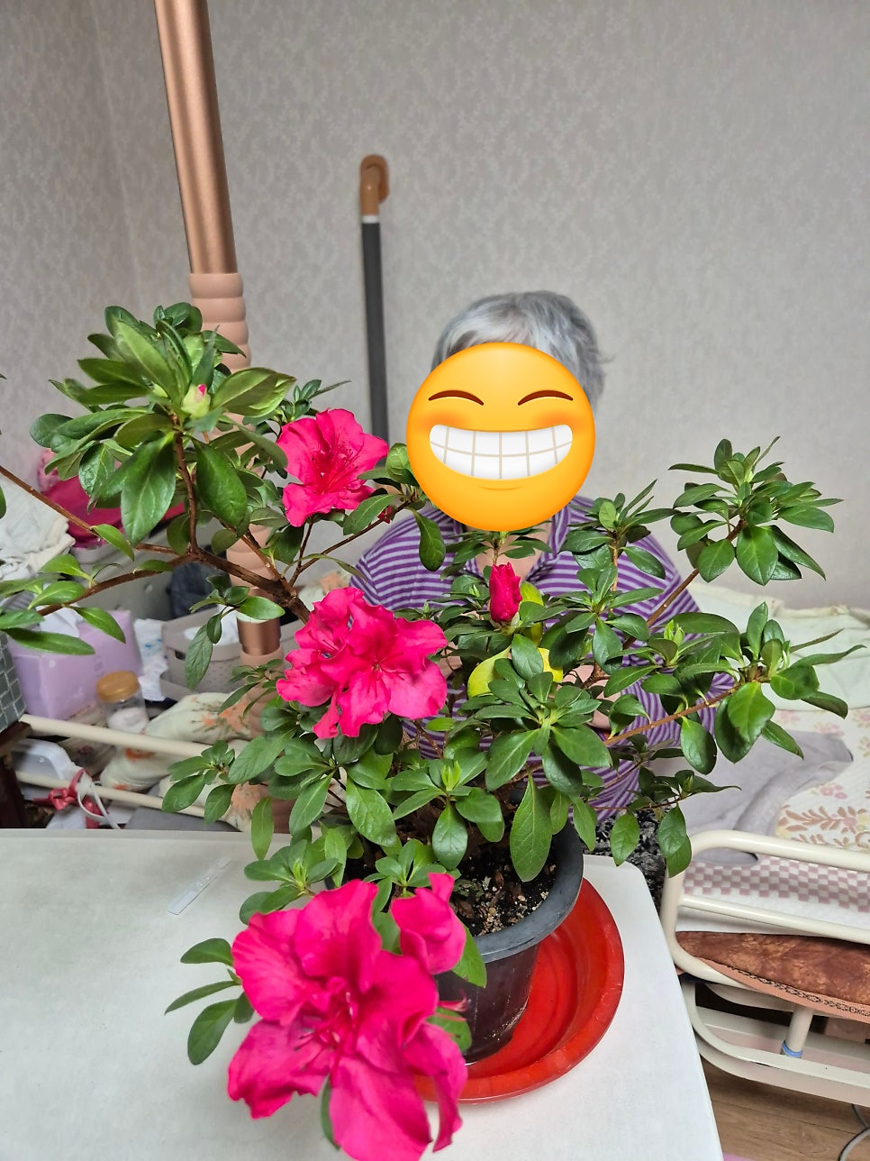 차림 사진 4