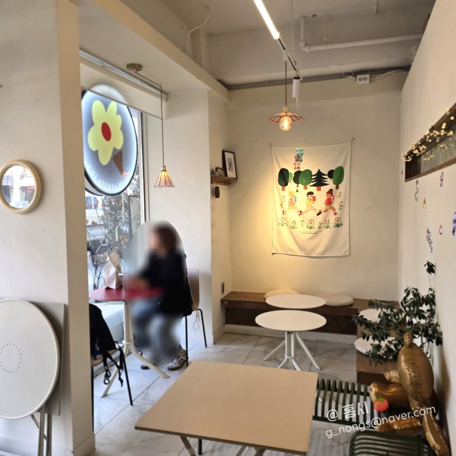 젤라떼리아 피오니 사진 5