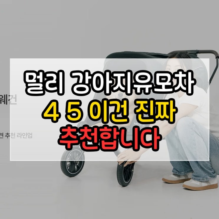  멀리 강아지유모차 MW4 MW5 이건 진짜 추천합니다