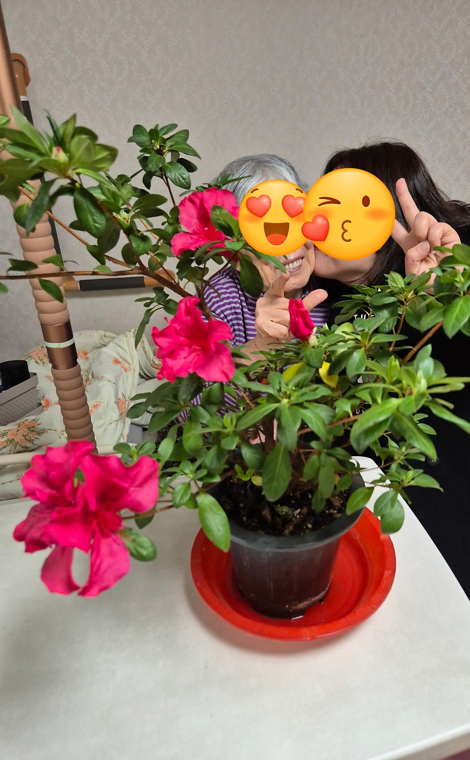 차림 사진 5