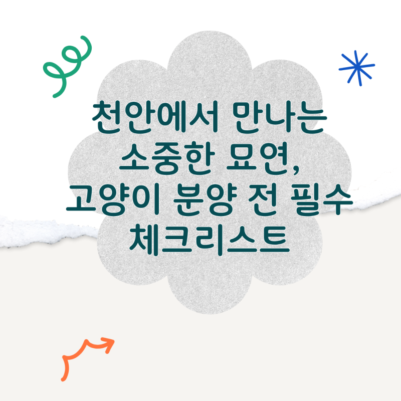 천안 고양이 분양 가격과 믿을 수 있는 샵 선택 가이드