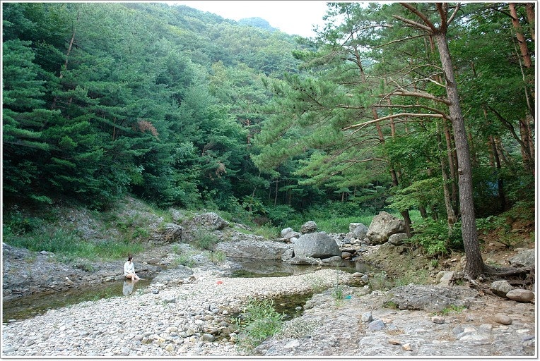 본신계곡 사진 2