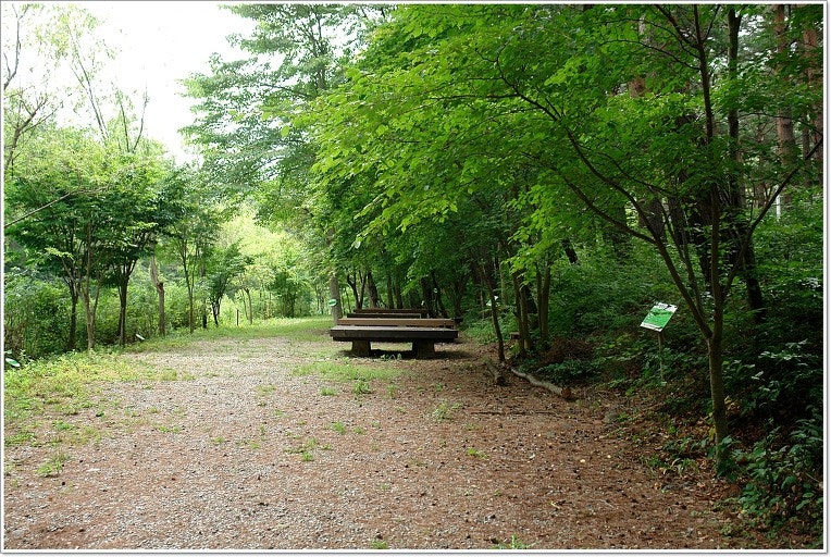 본신계곡 사진 4
