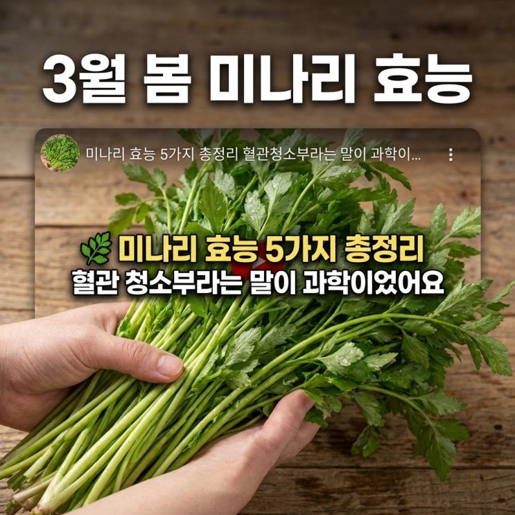   미나리 효능 5가지 총정리 | 혈관청소부라는 말이 과학이었어요