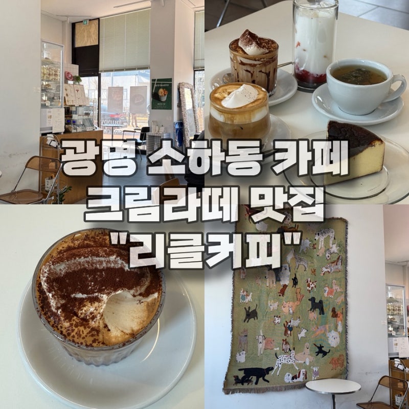 사진 4