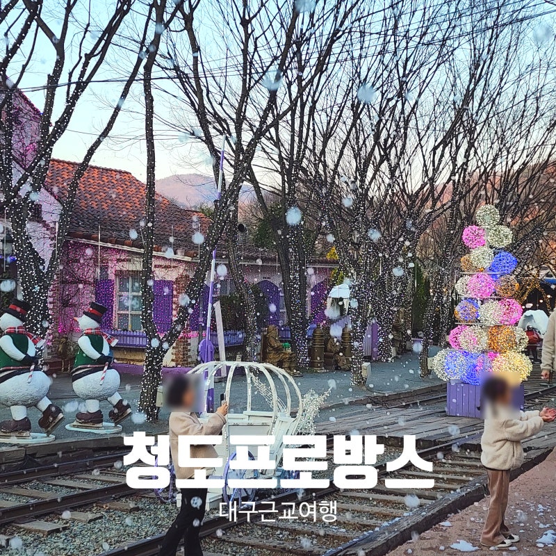 청도 가볼 만한 곳 청도 프로방스 빛 축제 낮 산책부터 야경까지 양궁 거울 미로 사계절 썰매