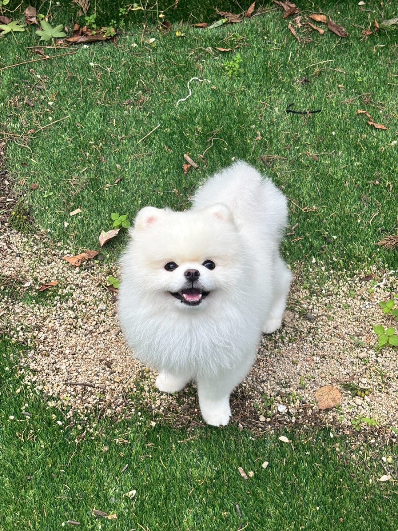 사진 7