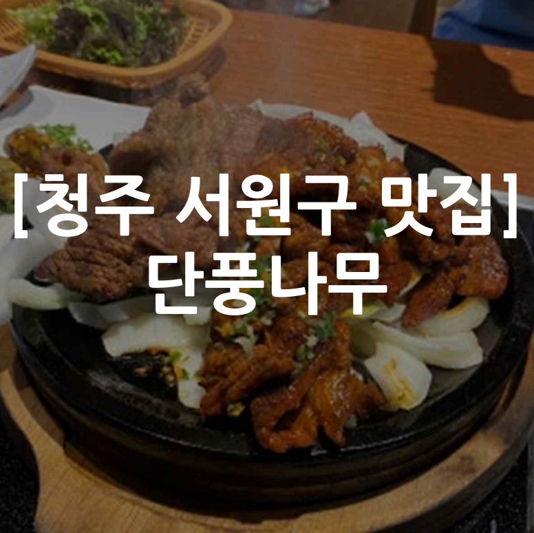 [청주 서원구] 단풍나무 석갈비 웨이팅 주차 예약 포장 정보