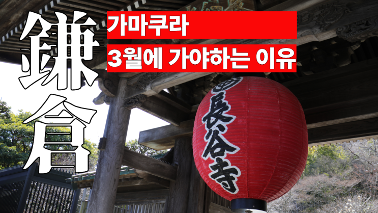 3월의 가마쿠라 여행 왜 유명할까? 30년만의 일본 여행 EP.2