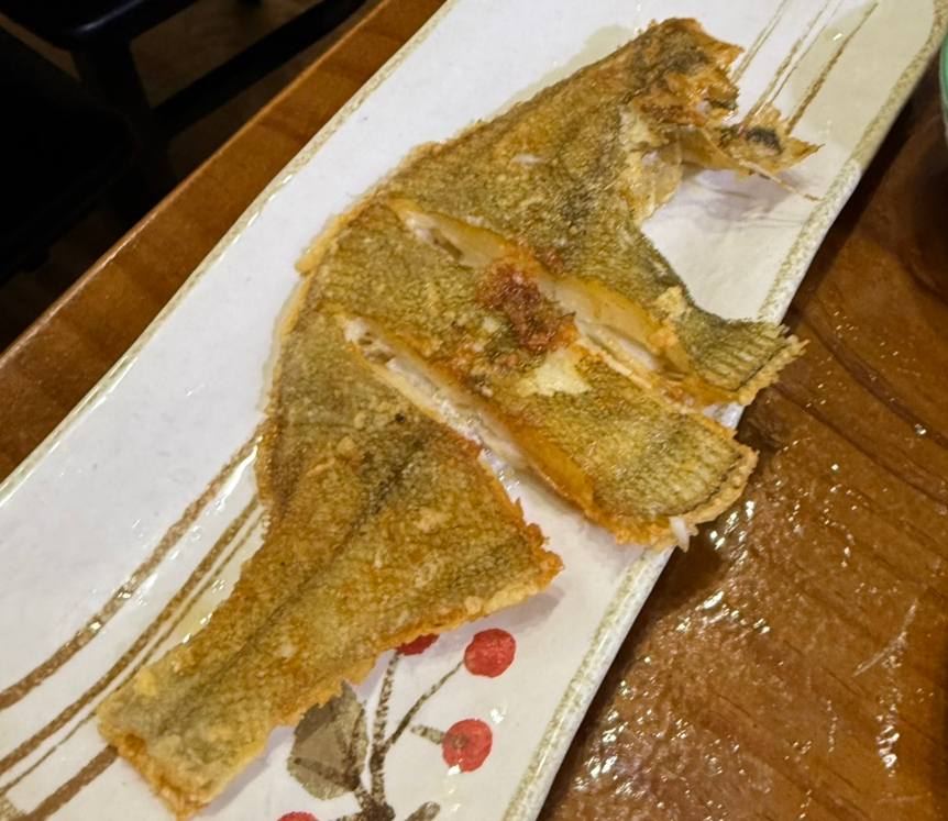 청보리 사진 2
