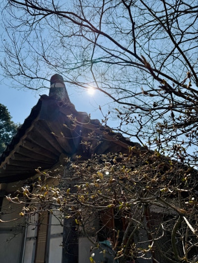 사진 8