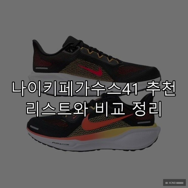  나이키페가수스41 추천 리스트와 비교 정리