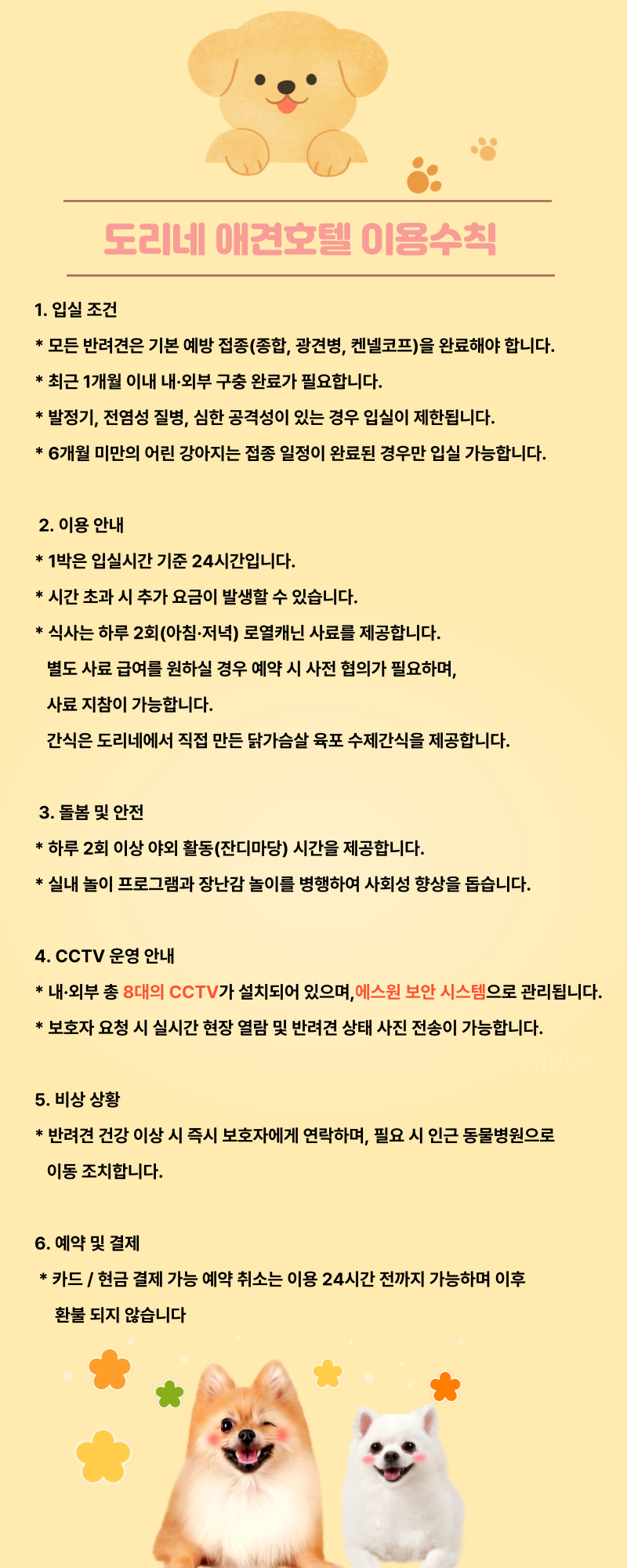 사진 9