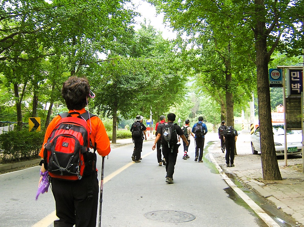 능골 사진 6