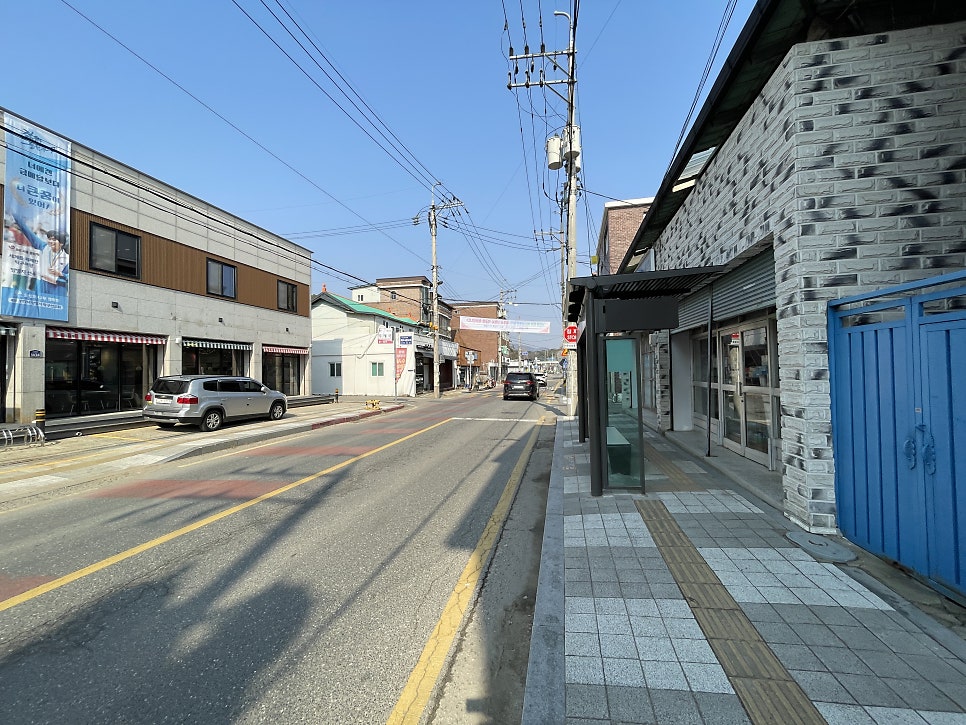 요셉의나무 사진 1
