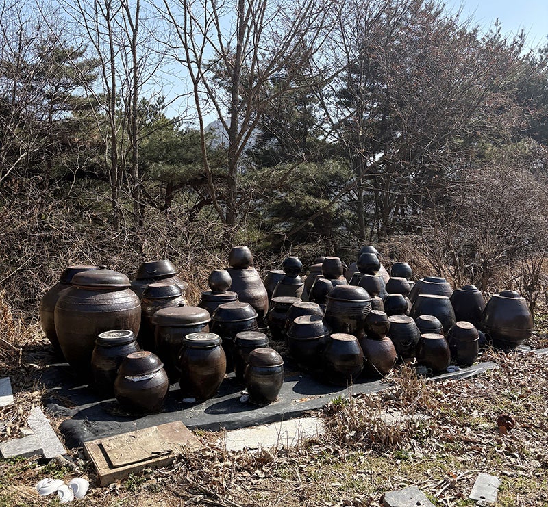 지리산순이네흙집 사진 3