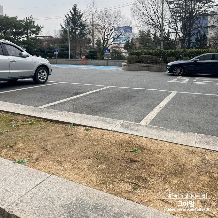 스타벅스 전주시청점 사진 4