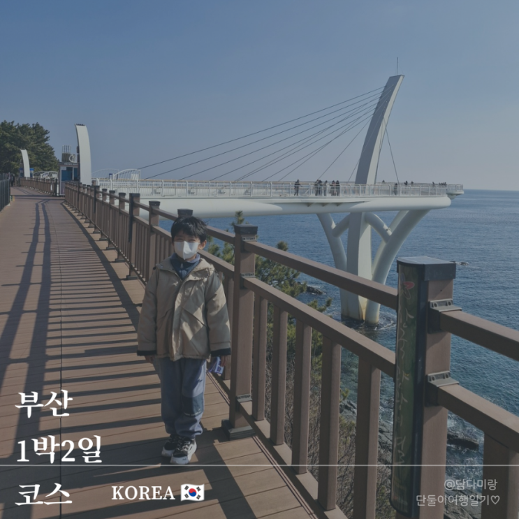  아이랑 부산 1박2일 코스, 기장부터 송정 해변열차 미포까지 동선 좋은 여행