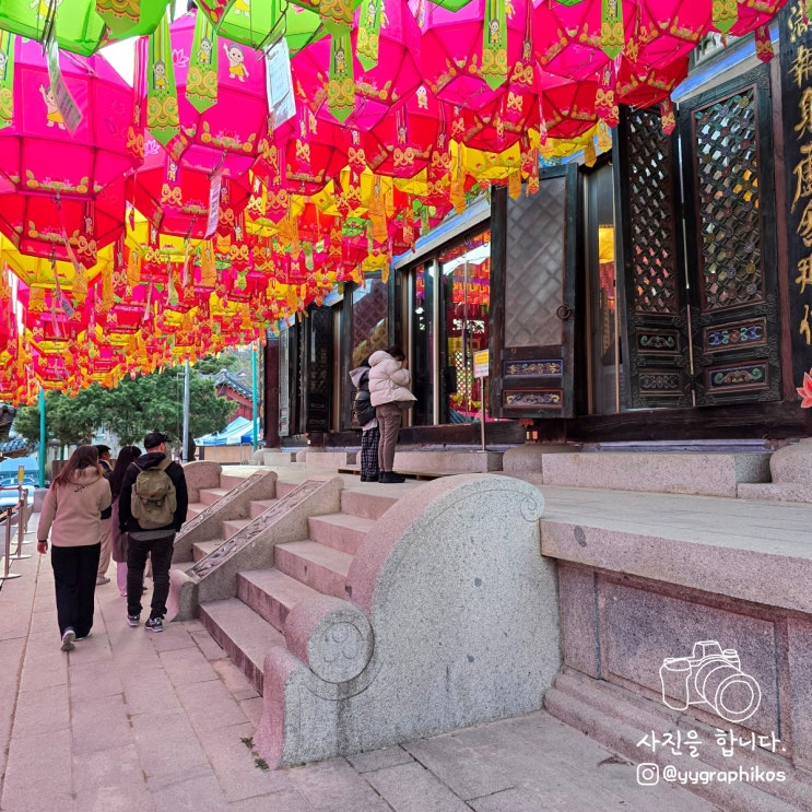  [서울시 강남구 삼성동] 봉은사역 가볼만한곳, 서울 절 - 봉은사 홍매화, 주차장