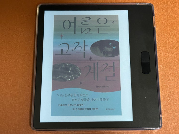  여름은 고작 계절 (김서해) 독서후기