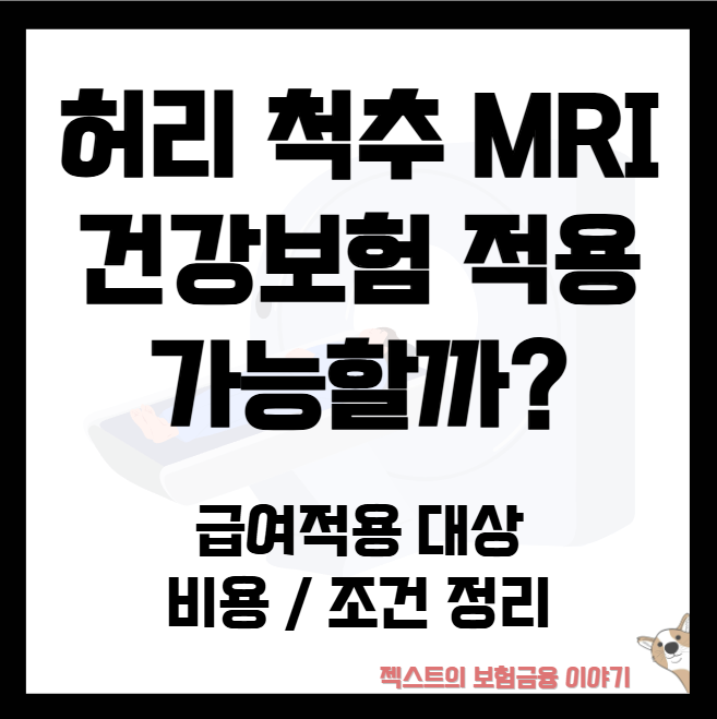 허리 척추 MRI 건강보험 적용 가능할까? 급여적용 대상·비용·조건 정리