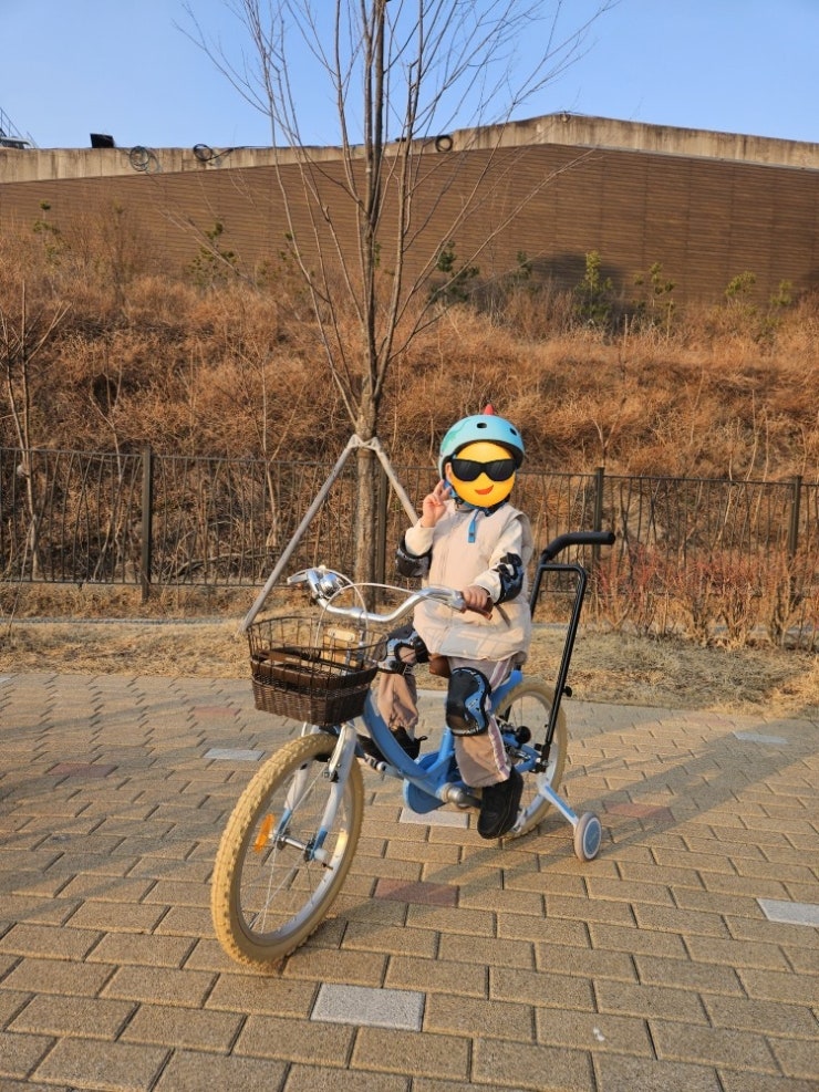 6살 첫 두발자전거 삼천리 딩고 18인치 후기 (클로버·트레이스 비교)