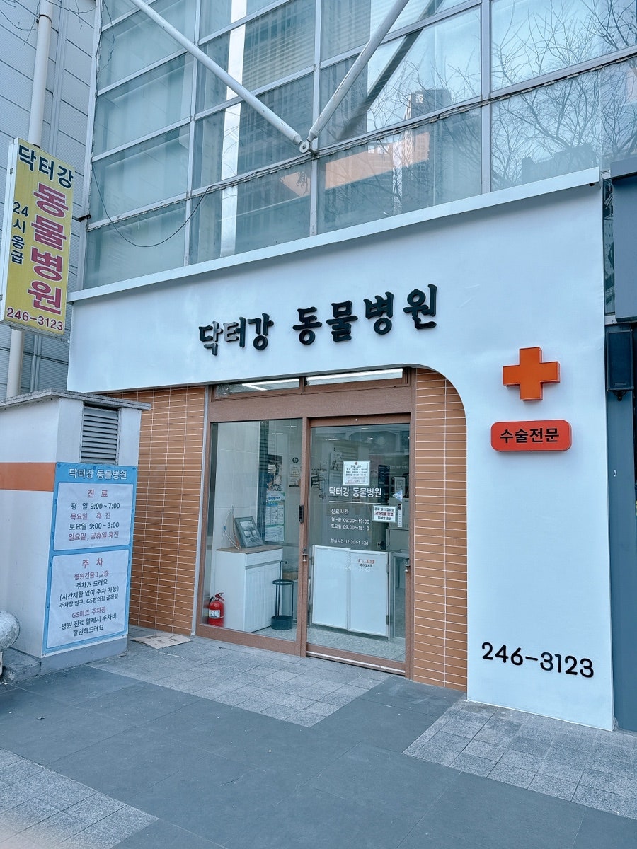 닥터강 동물병원 사진 2