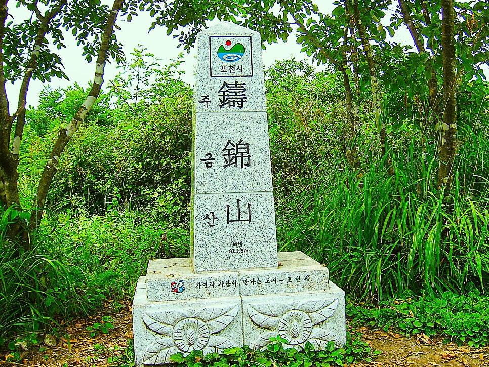 능골 사진 2