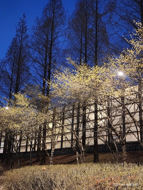 사진 2