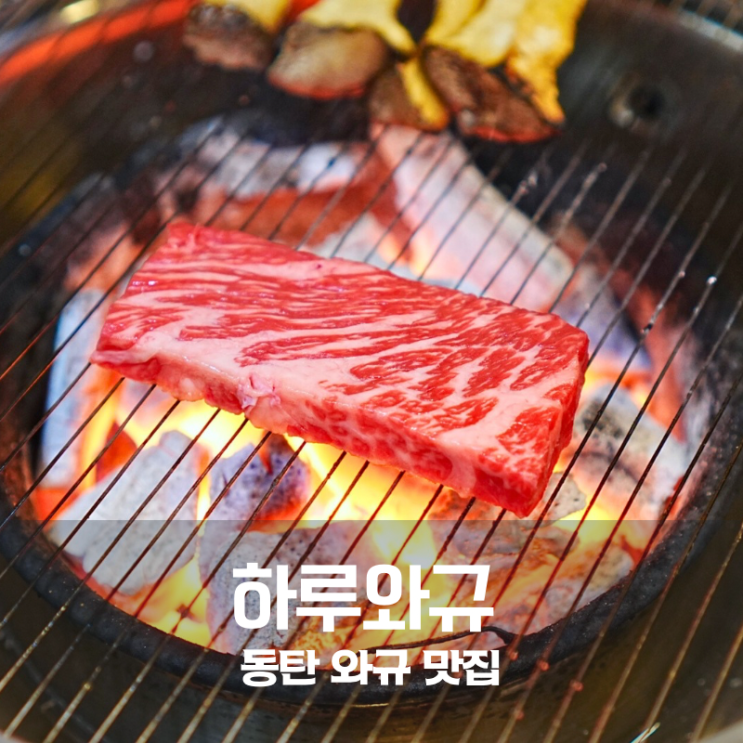  동탄 맛집 하루와규 진갈비살 등심 제대로 먹은 동탄 소고기 맛집