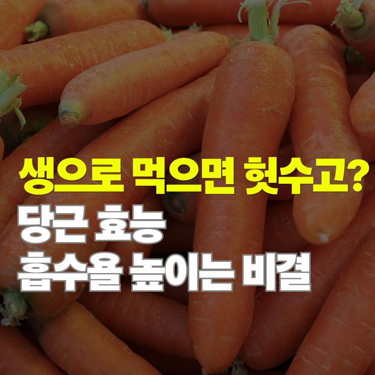  생으로 먹으면 손해? 당근 효능 제대로 보는 법과 영양 성분의 비밀