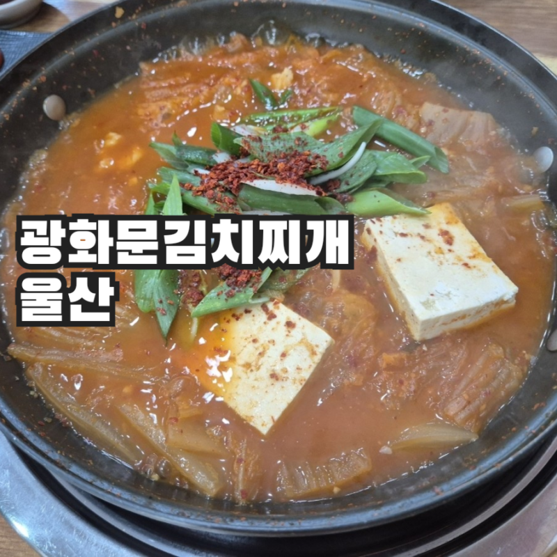 광화문 김치찌개 울산 출장식사, 삼산동 계란말이와 함께한 점심식사