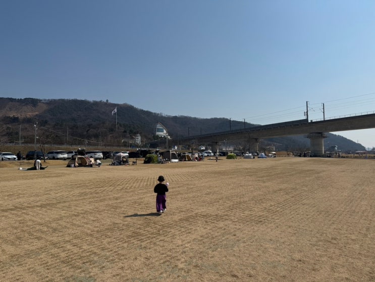  [경북 칠곡] 구미 주변 나들이가기 좋은 곳, 칠곡보 생태공원