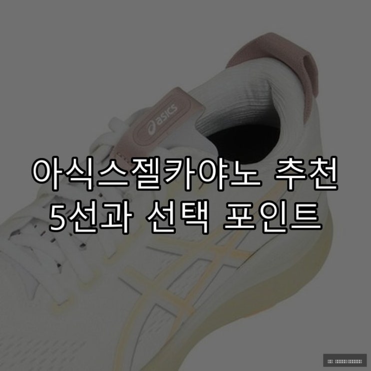  아식스젤카야노 추천 5선과 선택 포인트
