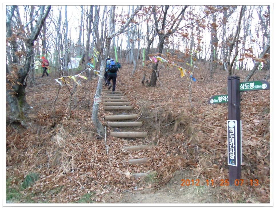 눌의산 사진 5