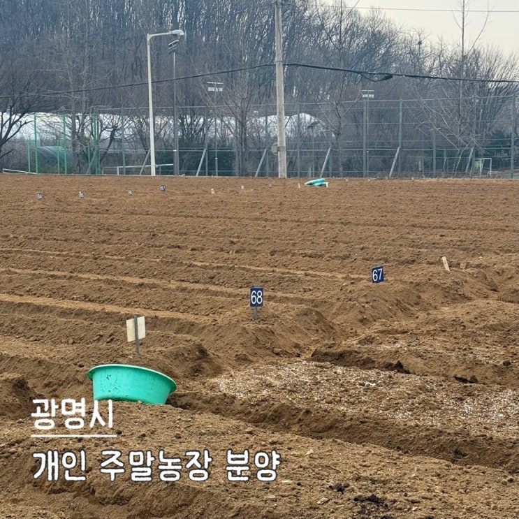  광명시 주말농장 실패 후 주말농장 분양 후기
