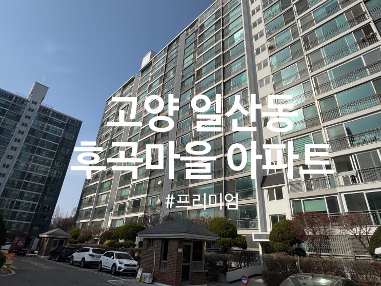  일산 후곡마을 아파트 베란다 탄성코트 프리미엄 시공 (달빛탄성)