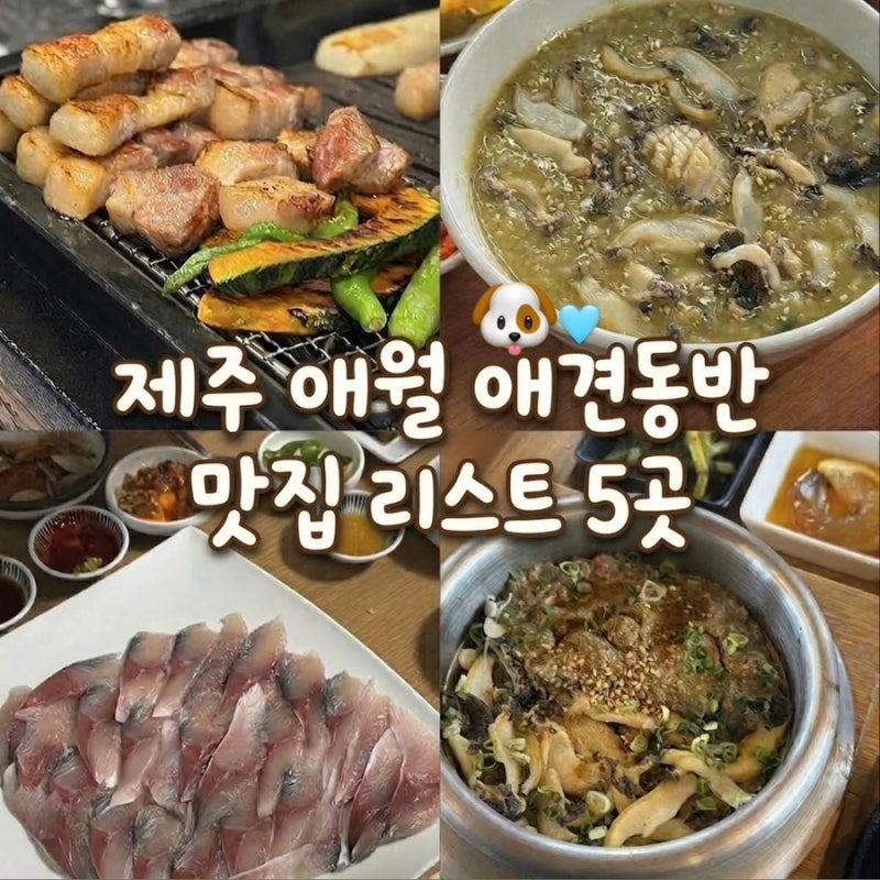 제주 애월 애견동반 맛집 리스트 5곳 :: 부모님도 대만족하신 내돈내산 맛집 모음