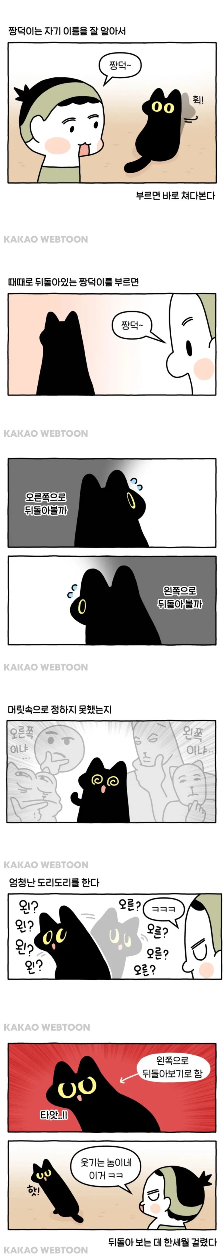  어느 쪽으로 돌아볼지 고민하는 고양이.manhwa