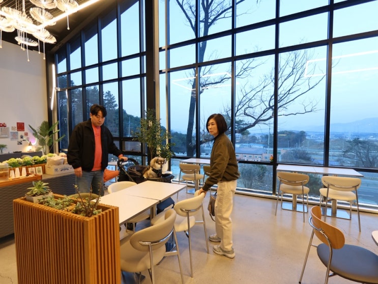 포천 소흘 애견동반 카페 베르 계란빵 맛있고 캠핑장 바로 앞