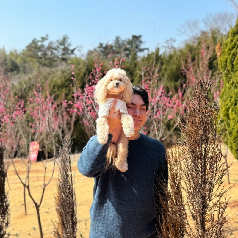 태안 강아지산책하기 좋은 곳 청산수목원 애견동반 홍매화 축제 후기
